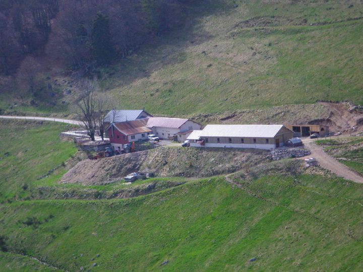 Ferme-auberge du Felsach