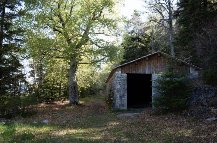 Cabane de la montagne de Brouis