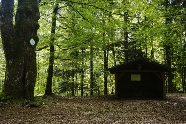 Cabane du Chène de la Vierge
