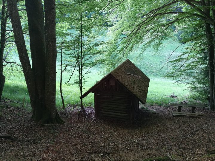 Wasenhütte