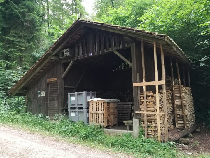 Ribiwinkelhütte