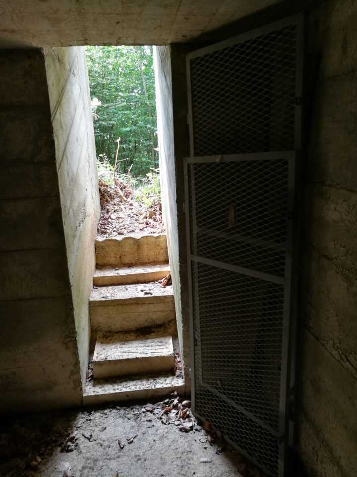 Nische Bürerhalde