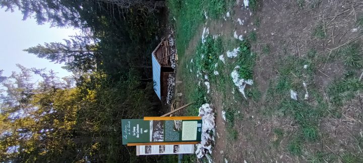 Cabane des Carteaux