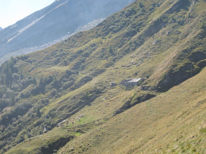 Bergerie de Detraz