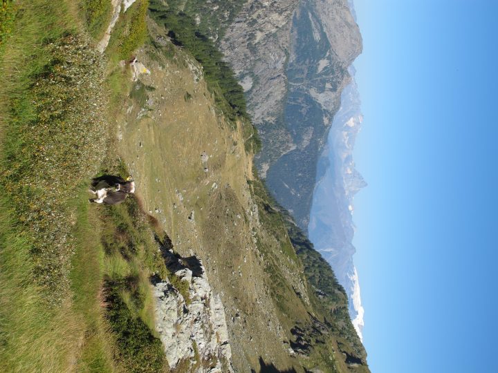 Bergerie de Chenessey
