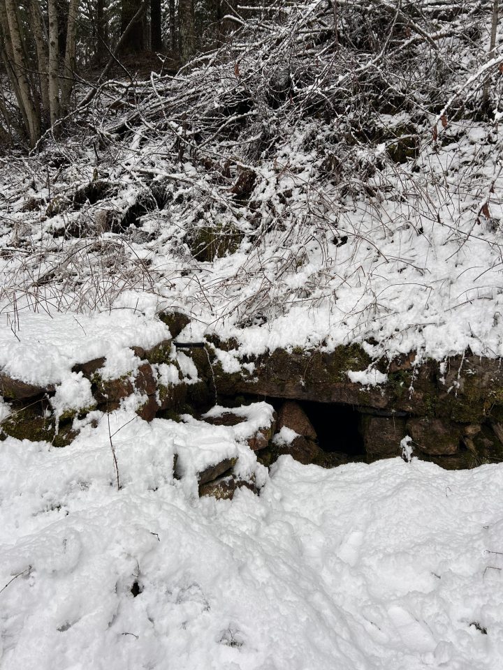 Cabane des Fonts