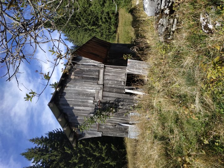 Abri de Lavouillon