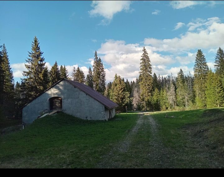 Chalet Cottin
