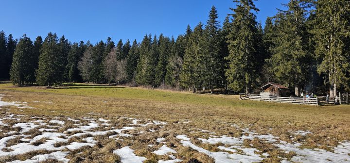 Abri du Grand Tétras