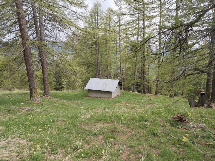 Cabane de Sommet Bucher