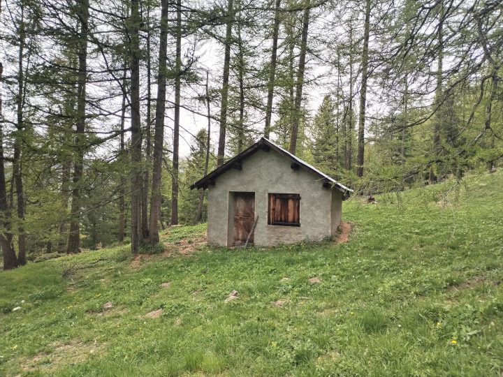 Cabane de Sommet Bucher