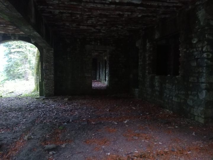 Ruine du Climont