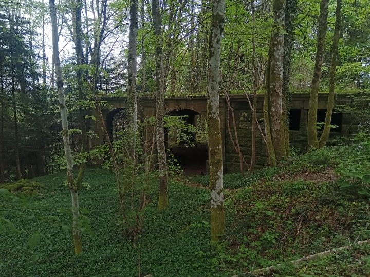 Ruine du Climont