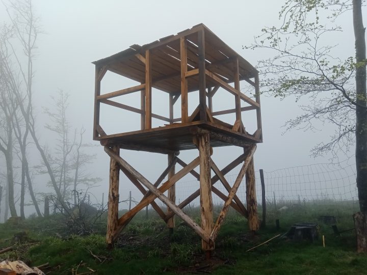 Abri du Haut des Yvraux