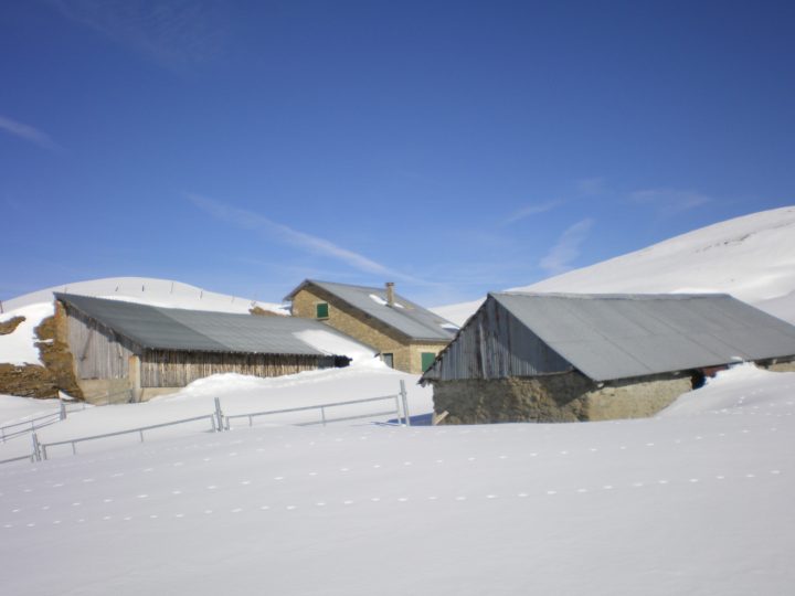 Chalet de l'Alpe / Habert de Saint Vincent