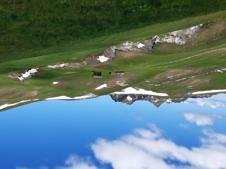 Cabane de l'alpage de la pointe du Riondet