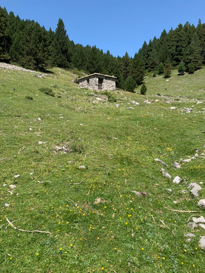 Cabane d'Es Ordizez