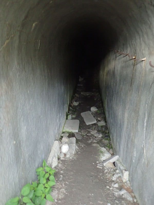 Fort de plate lombarde