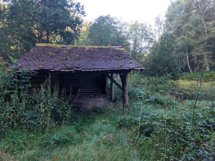 Abris du ruisseau de Schnepfenbach