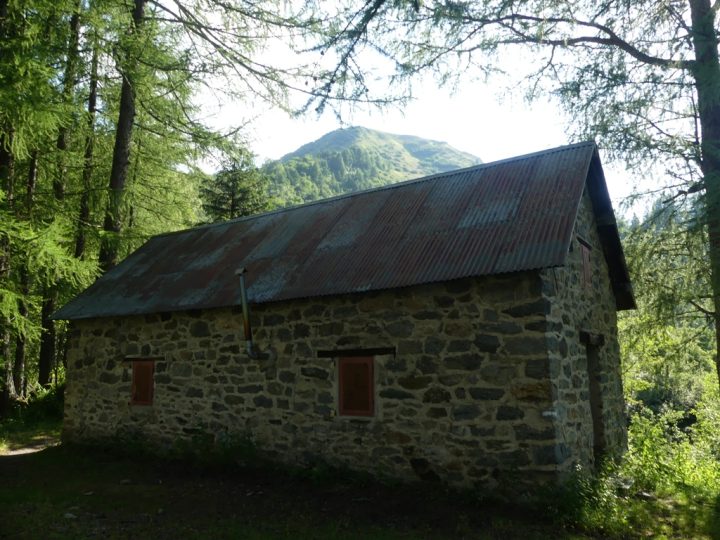 Cabane forestière des Arandellys