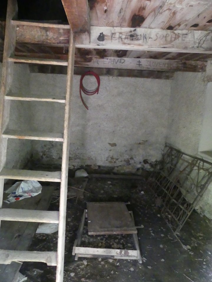 Cabane forestière des Arandellys