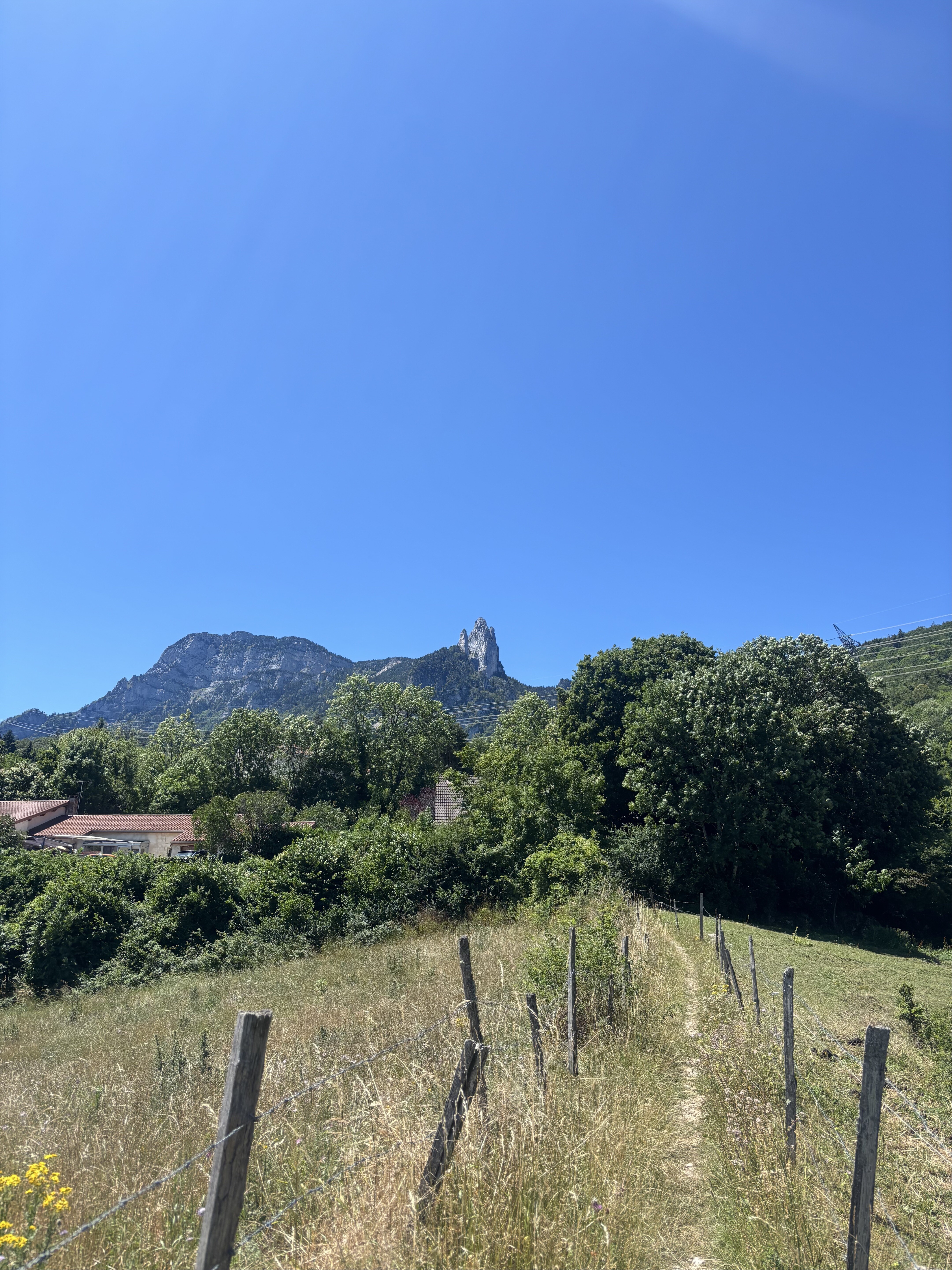 Vouillants