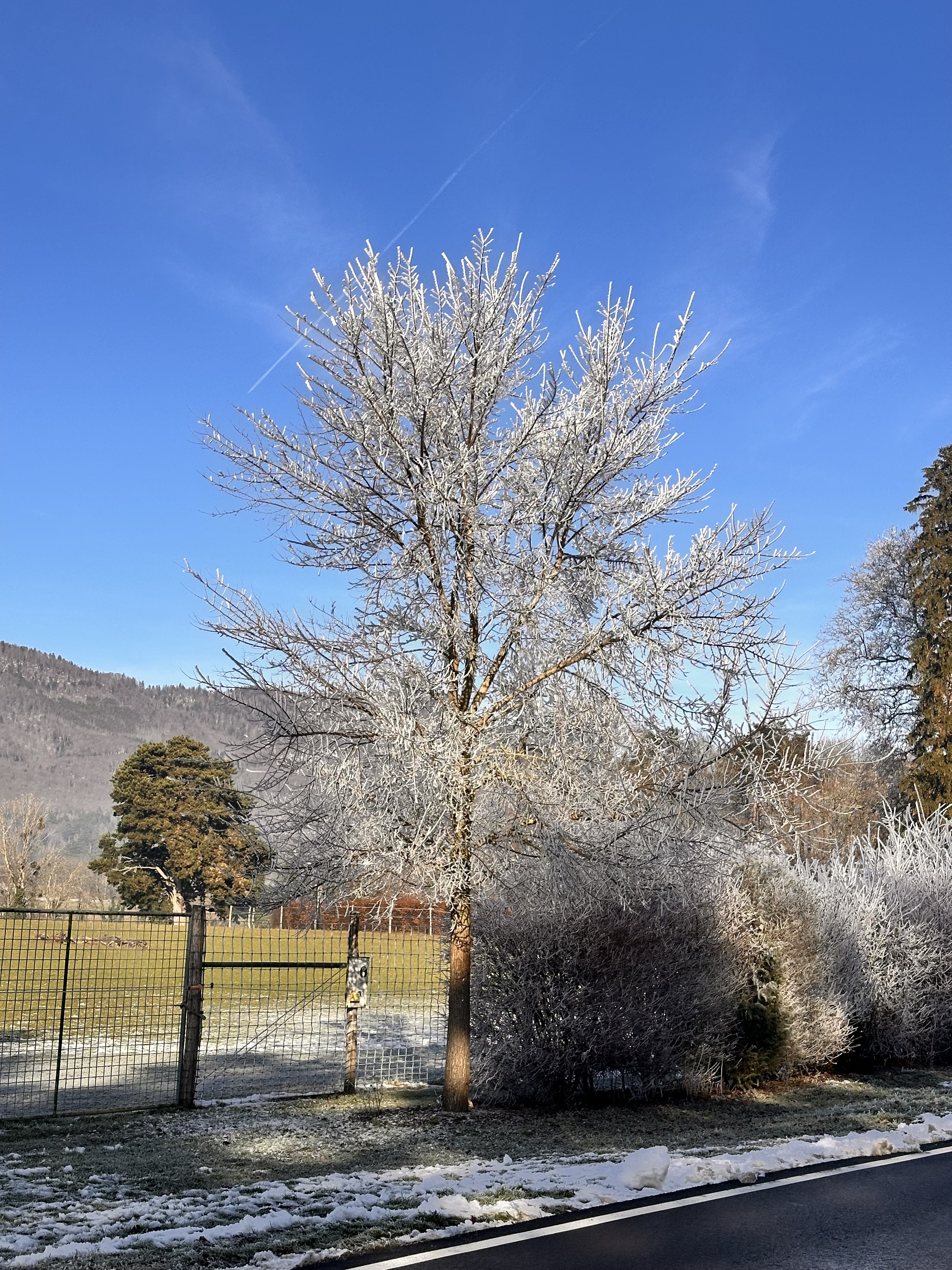 Givre