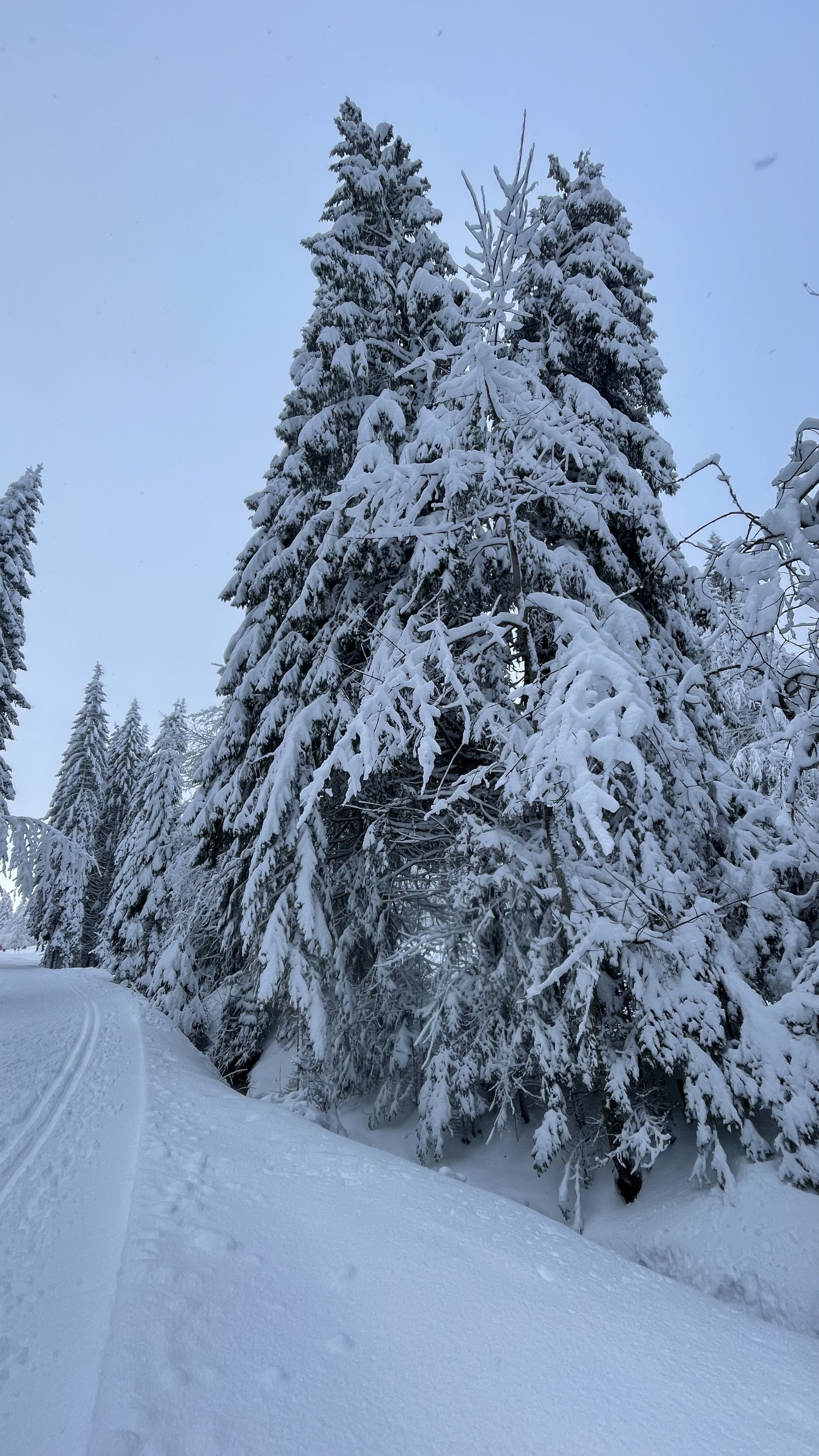Col de porte